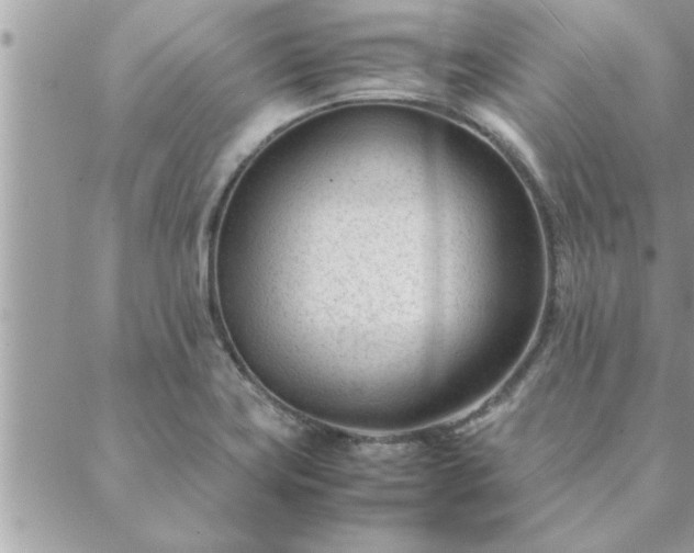 X0000088581419200706011101