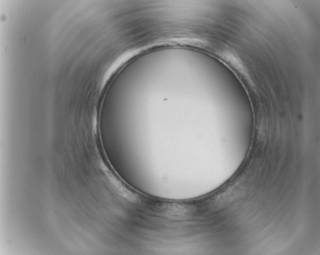 X0000088581420200706011101