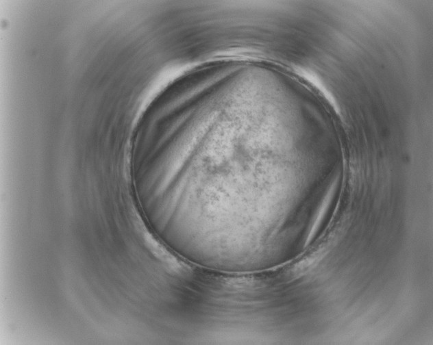 X0000088581421200706011101