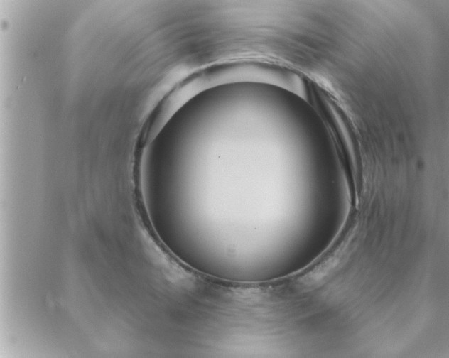 X0000088581422200706011101