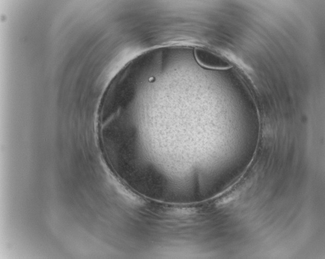 X0000088581423200706011101