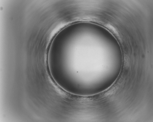 X0000088581424200706011101