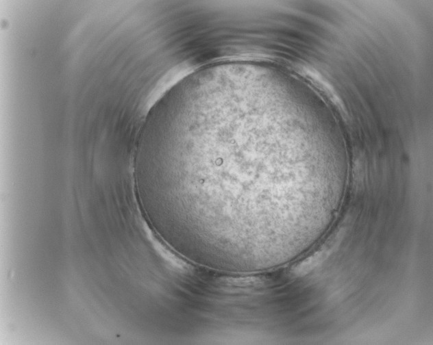 X0000088581425200706011101