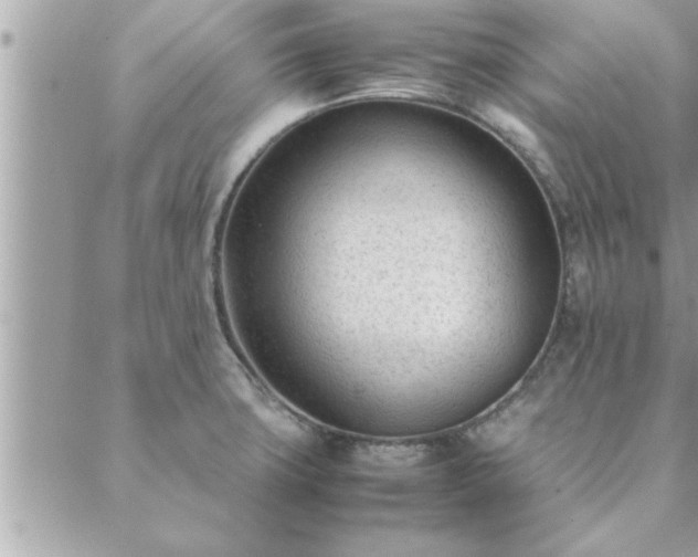 X0000088581427200706011101