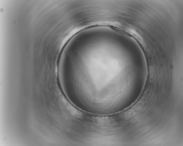 X0000088581428200706011101