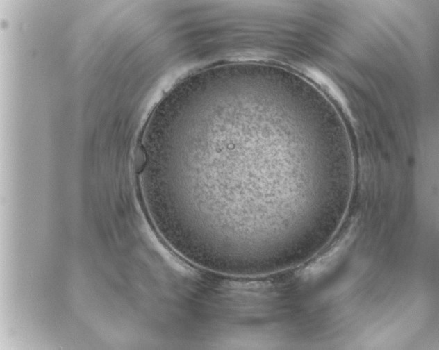 X0000088581429200706011101