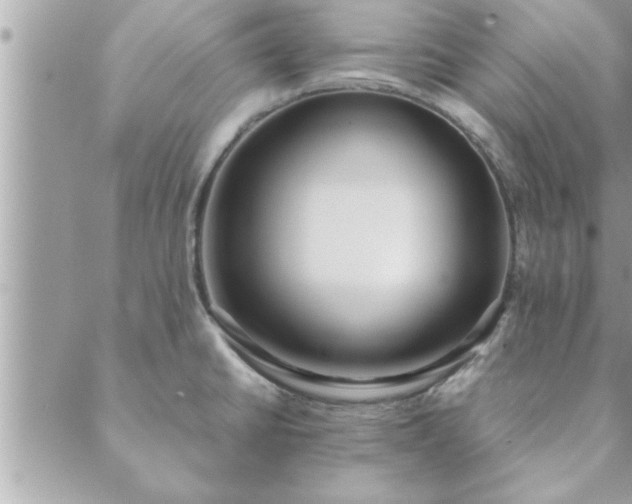 X0000088581430200706011101