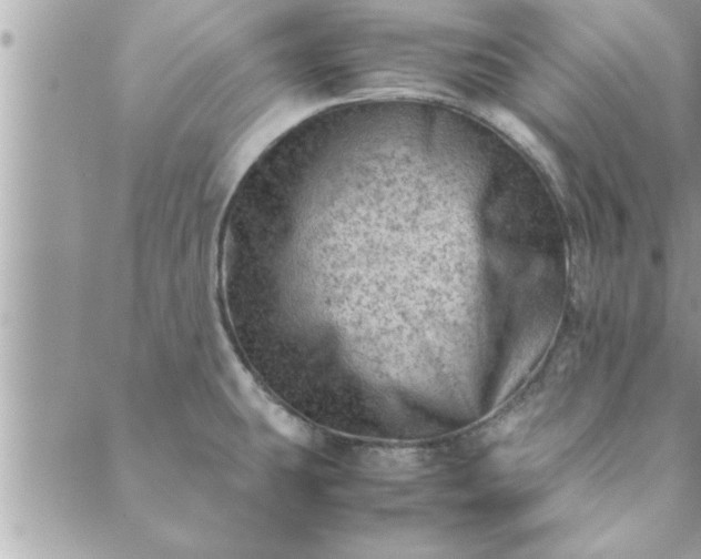 X0000088581431200706011101