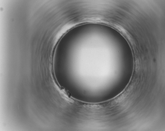 X0000088581432200706011101