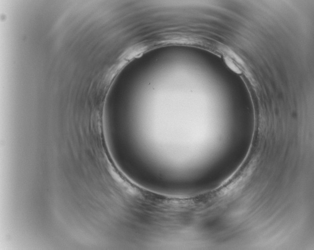 X0000088581433200706011101