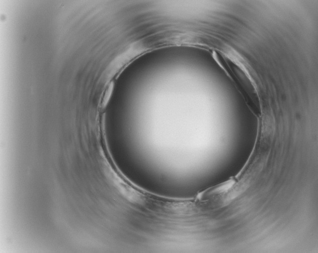 X0000088581434200706011101