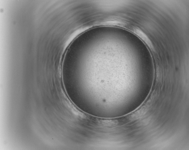 X0000088581436200706011102