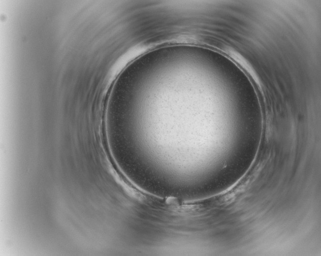 X0000088581437200706011102