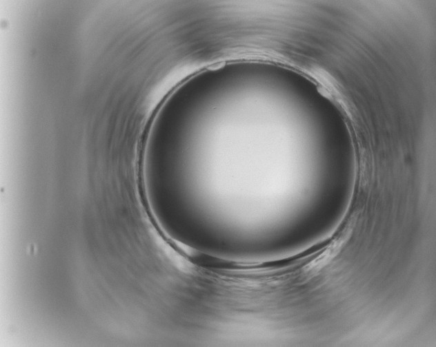 X0000088581438200706011102