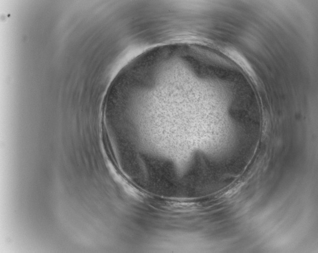 X0000088581439200706011102