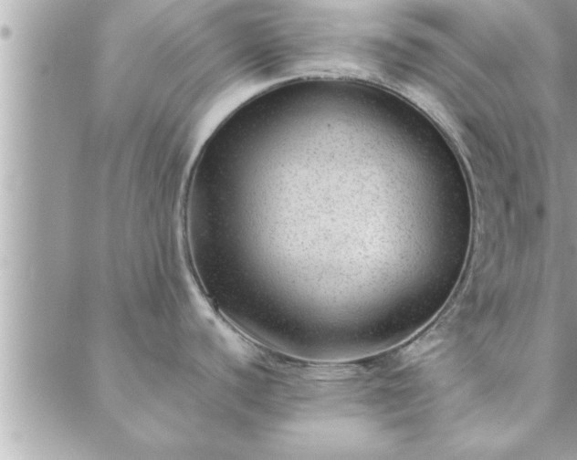 X0000088581440200706011102