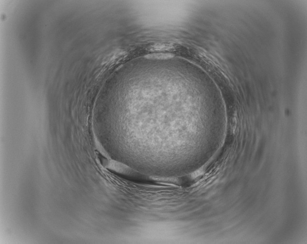 X0000088581441200706011101