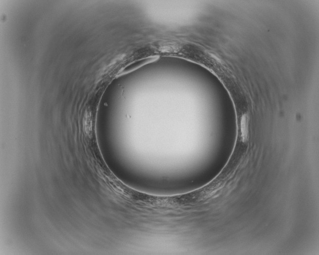 X0000088581443200706011101