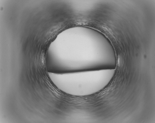 X0000088581444200706011101