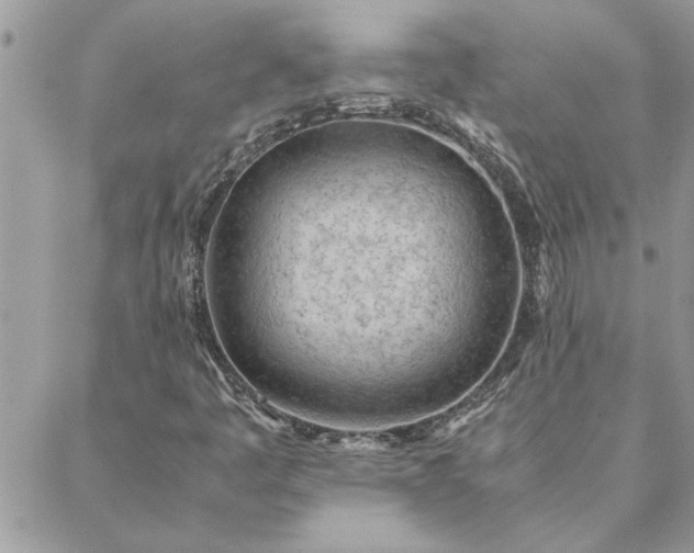 X0000088581445200706011101