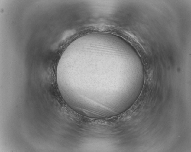 X0000088581446200706011101