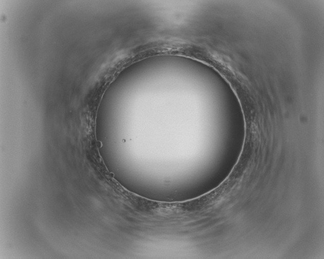 X0000088581447200706011101