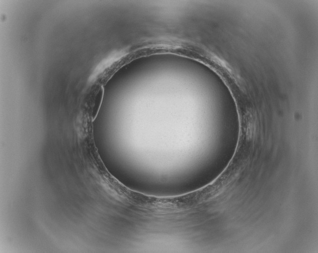 X0000088581448200706011101