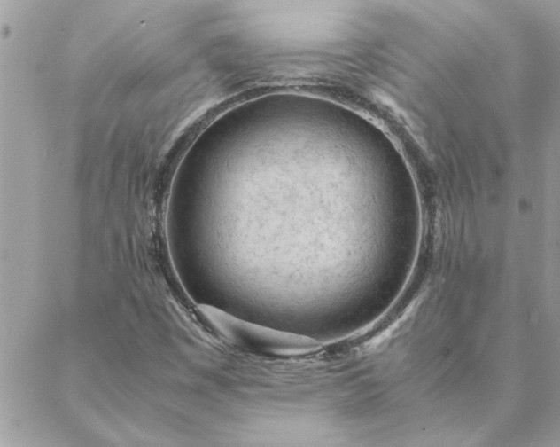 X0000088581449200706011101