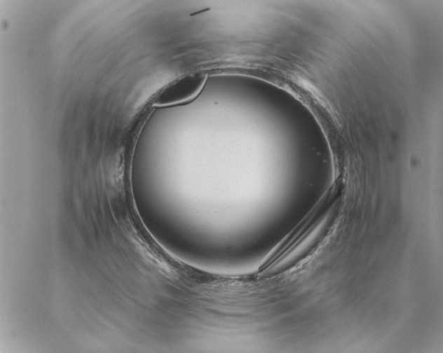 X0000088581450200706011101