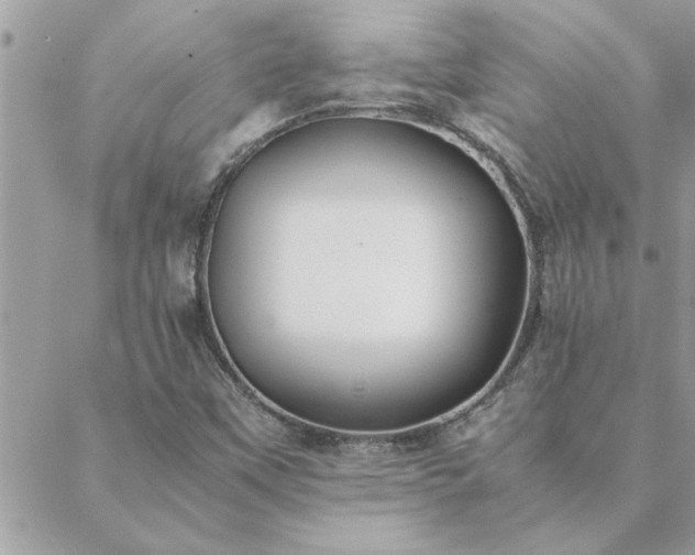 X0000088581451200706011101