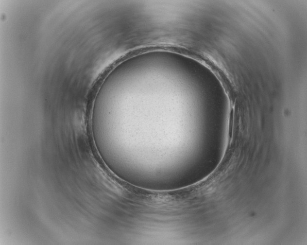 X0000088581452200706011101