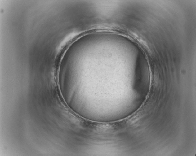 X0000088581454200706011101