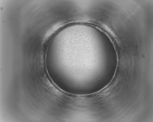 X0000088581456200706011101