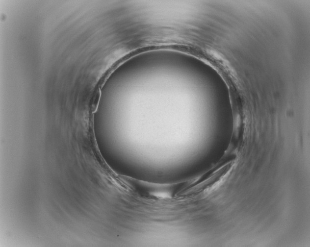 X0000088581457200706011101