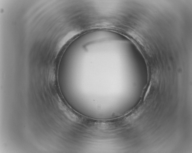 X0000088581458200706011101