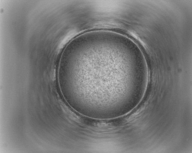 X0000088581459200706011101