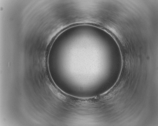 X0000088581460200706011100