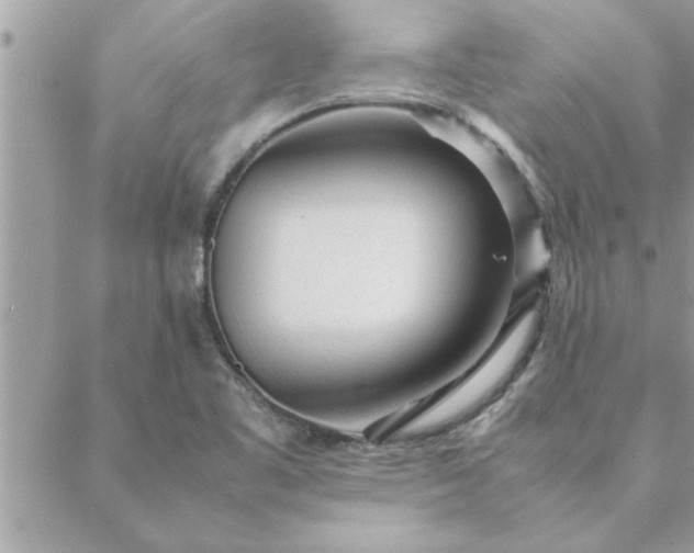 X0000088581461200706011100