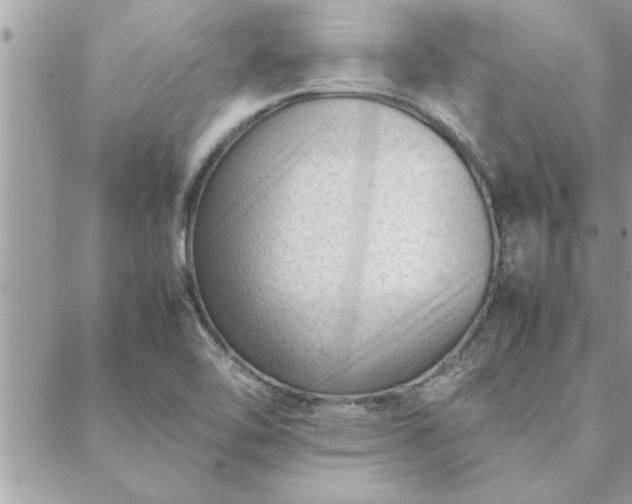 X0000088581462200706011100