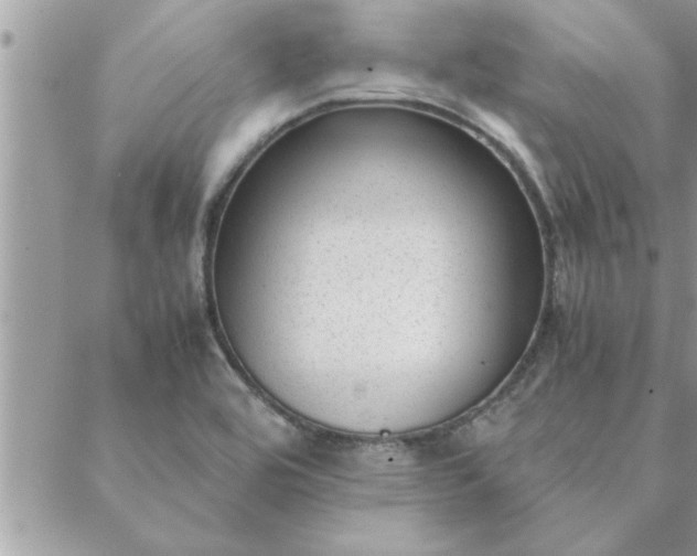 X0000088581464200706011100