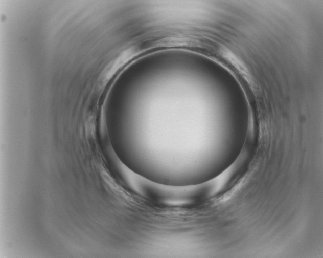 X0000088581465200706011100