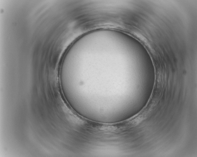 X0000088581466200706011100