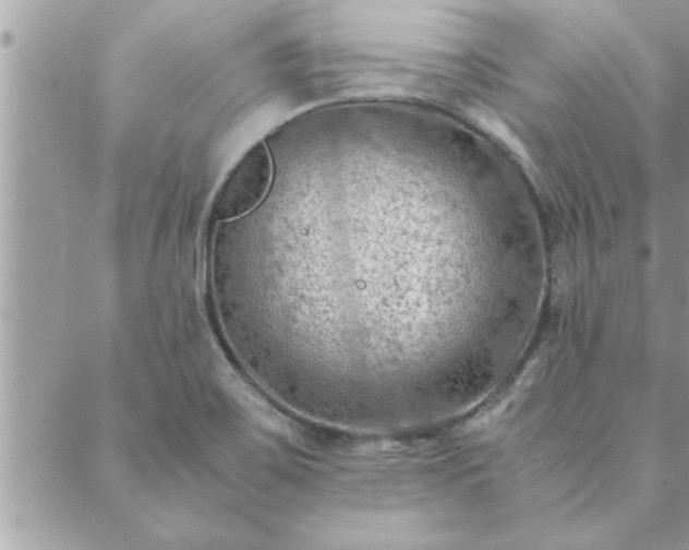 X0000088581467200706011100