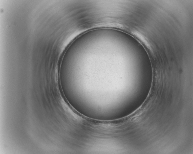 X0000088581468200706011100