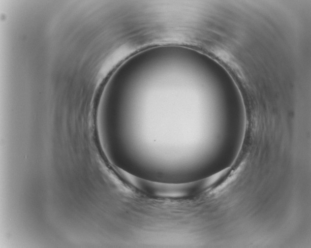 X0000088581469200706011100