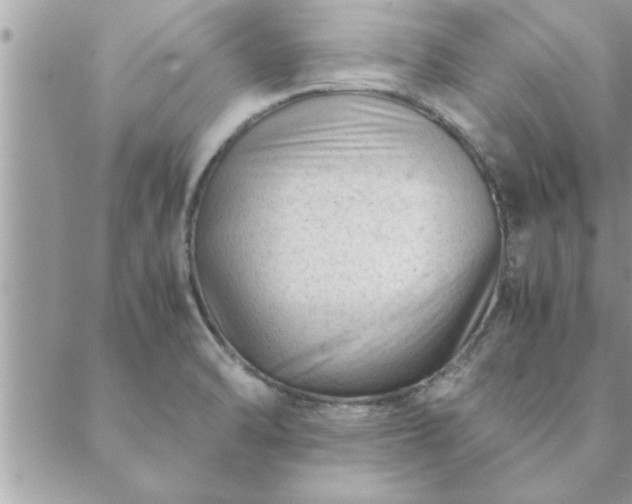 X0000088581470200706011100