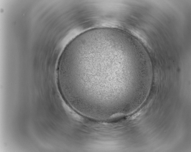 X0000088581471200706011100