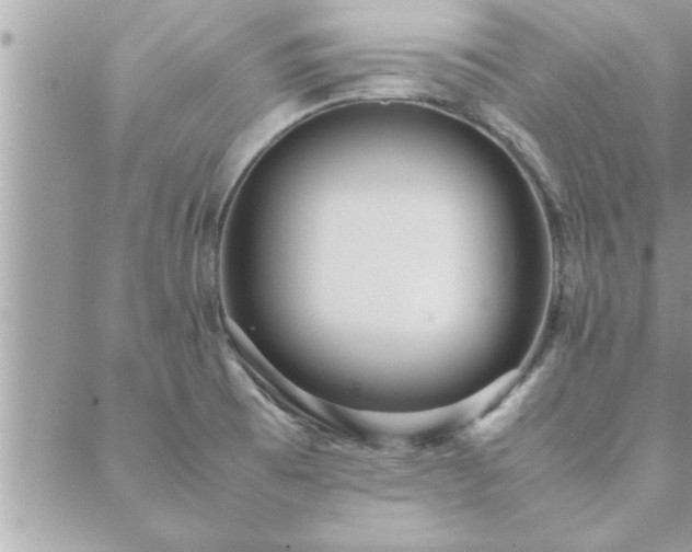 X0000088581473200706011100