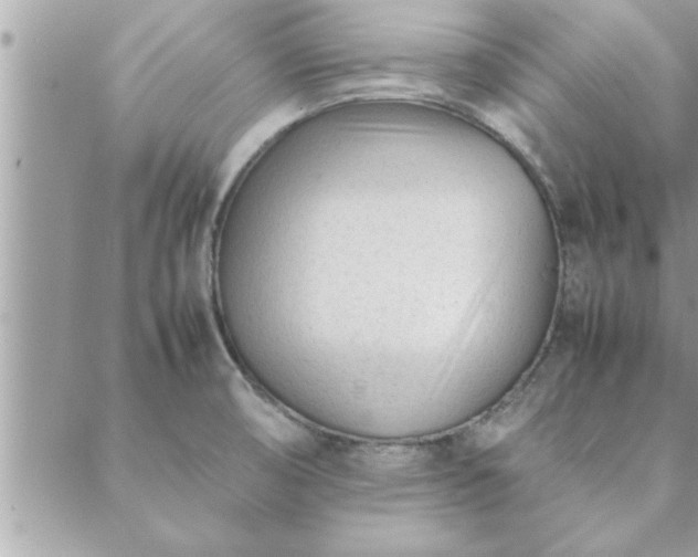 X0000088581474200706011100