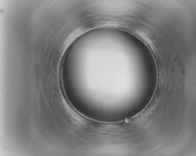 X0000088581475200706011100